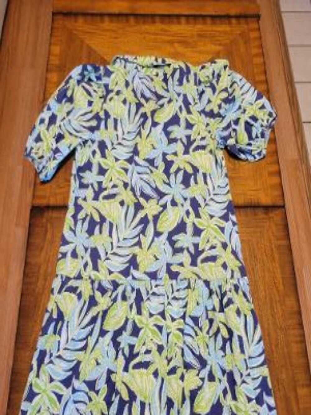 Lilly Pulitzer Bingley Drop Waist Dress - New - Picture 7 of 15